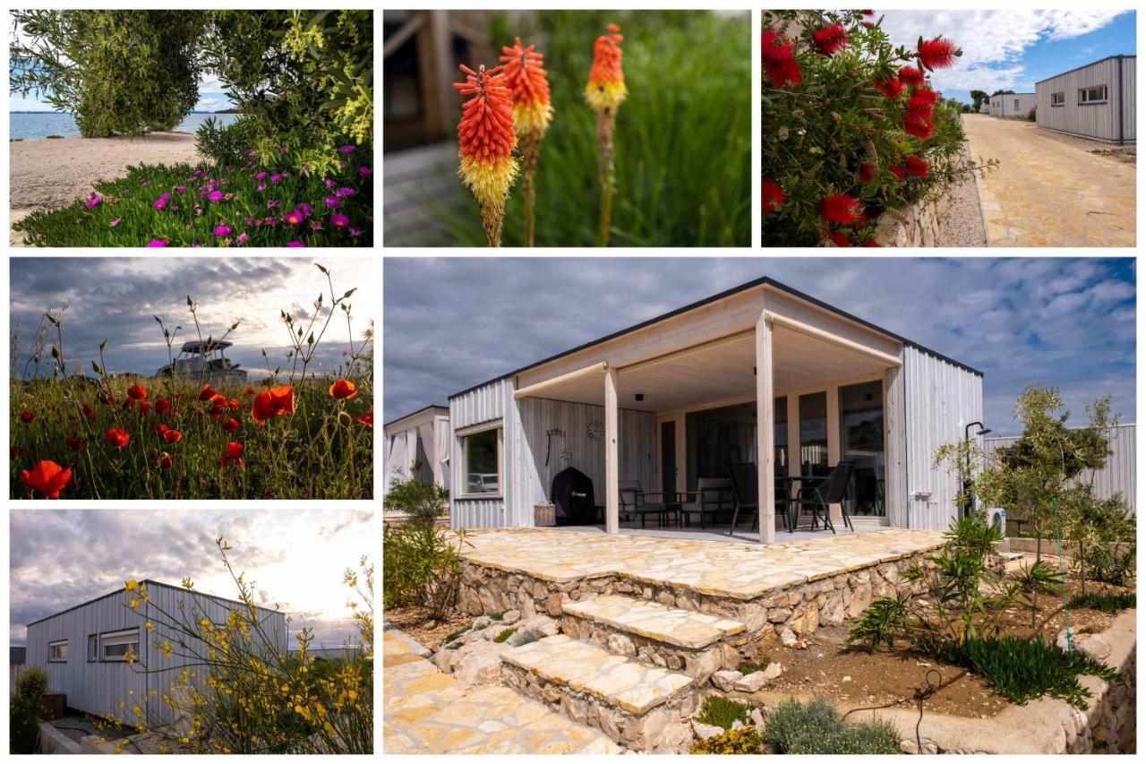 Buqez Resort Drage, Villa Vita 50 Pakoštane 外观 照片